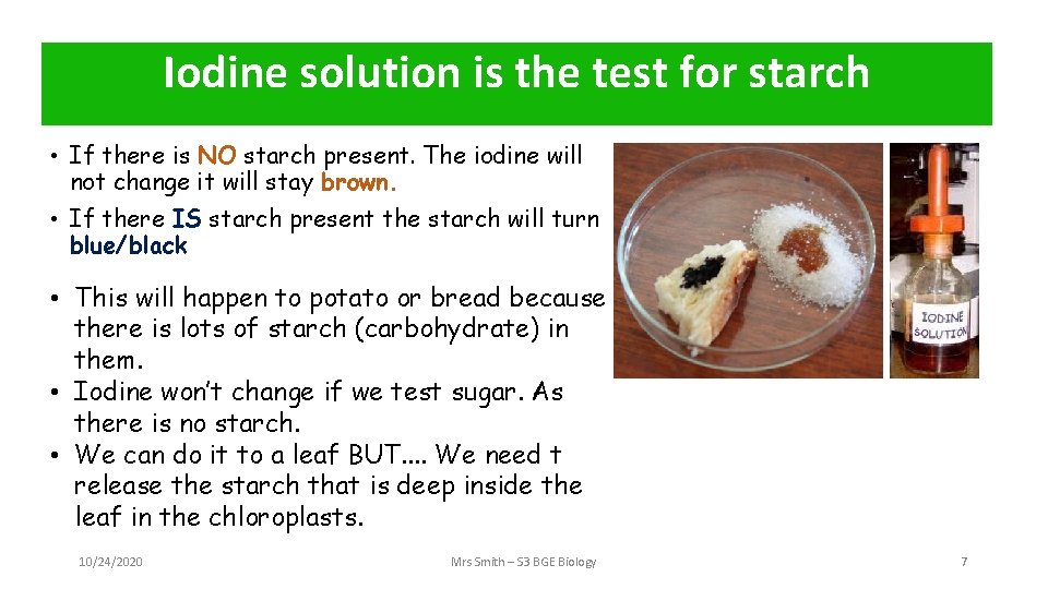 Iodine solution is the test for starch • If there is NO starch present.