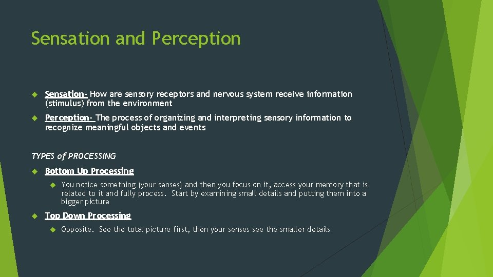 Sensation and Perception Sensation- How are sensory receptors and nervous system receive information (stimulus)