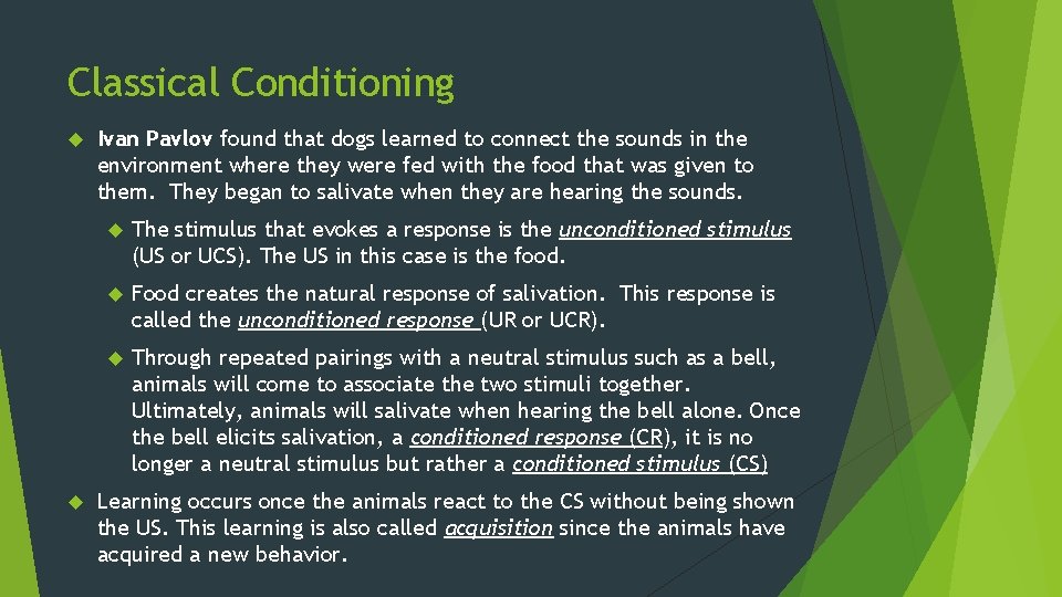 Classical Conditioning Ivan Pavlov found that dogs learned to connect the sounds in the