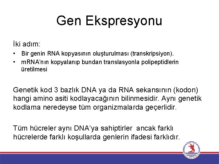 Gen Ekspresyonu İki adım: • Bir genin RNA kopyasının oluşturulması (transkripsiyon). • m. RNA’nın