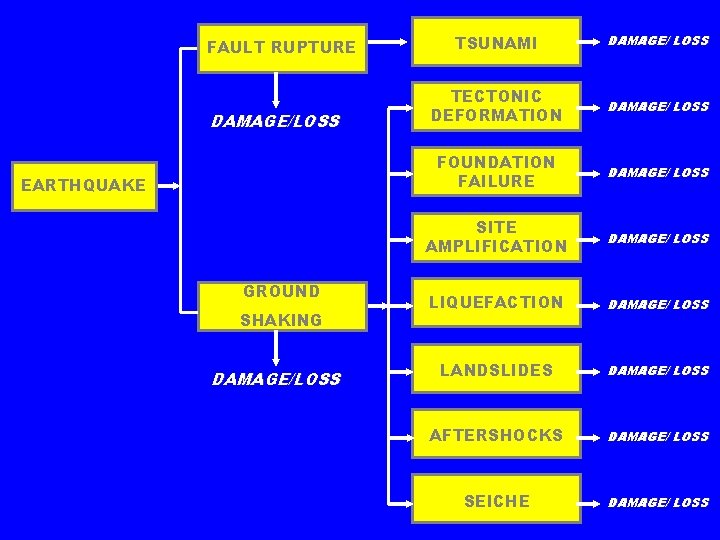 FAULT RUPTURE DAMAGE/LOSS EARTHQUAKE GROUND SHAKING DAMAGE/LOSS TSUNAMI DAMAGE/ LOSS TECTONIC DEFORMATION DAMAGE/ LOSS