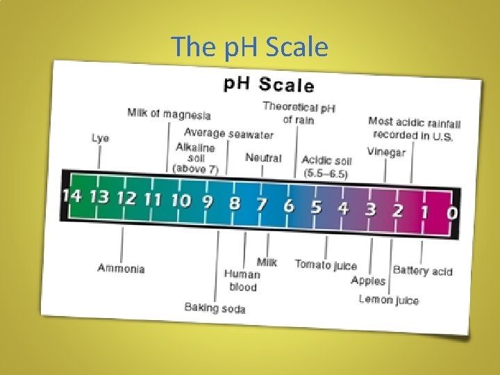 The p. H Scale 