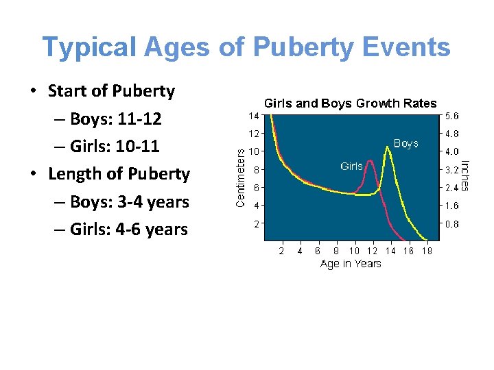 Typical Ages of Puberty Events • Start of Puberty – Boys: 11 -12 –