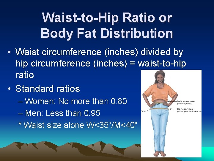 Waist-to-Hip Ratio or Body Fat Distribution • Waist circumference (inches) divided by hip circumference