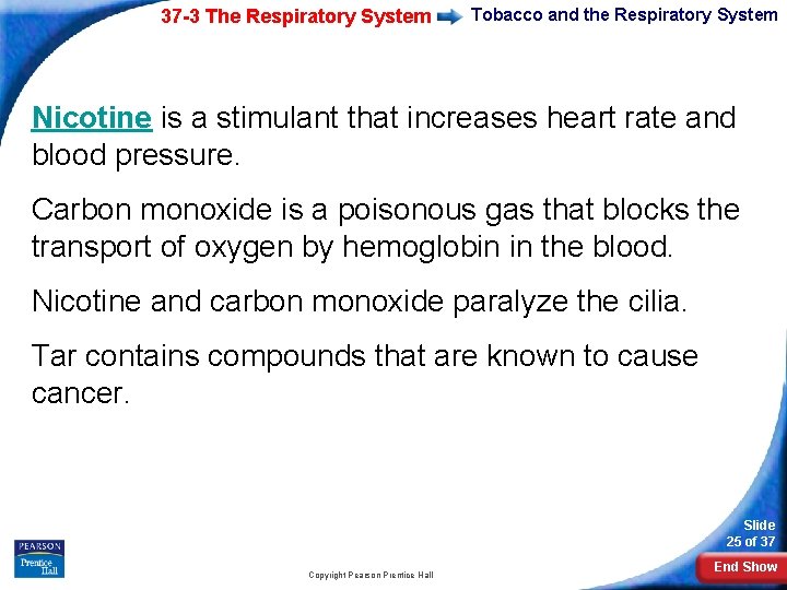 37 -3 The Respiratory System Tobacco and the Respiratory System Nicotine is a stimulant