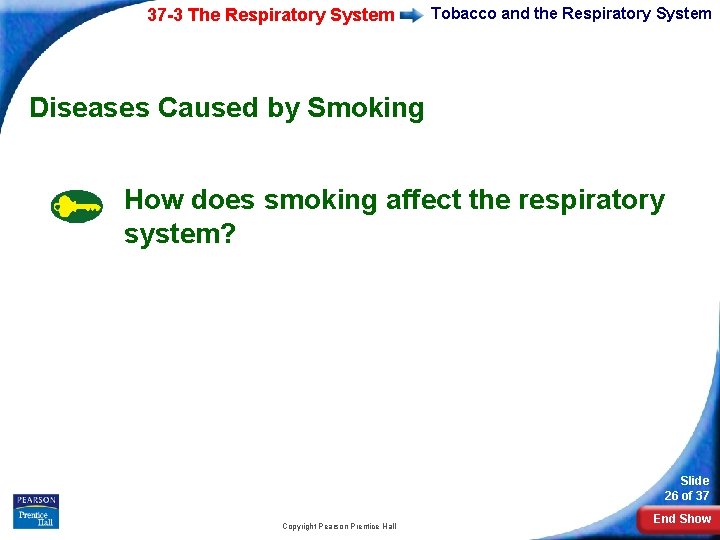 37 -3 The Respiratory System Tobacco and the Respiratory System Diseases Caused by Smoking