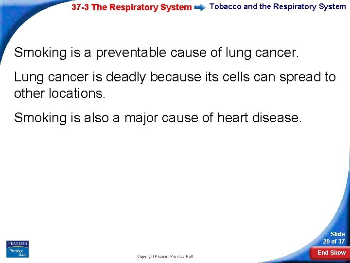 37 -3 The Respiratory System Tobacco and the Respiratory System Smoking is a preventable