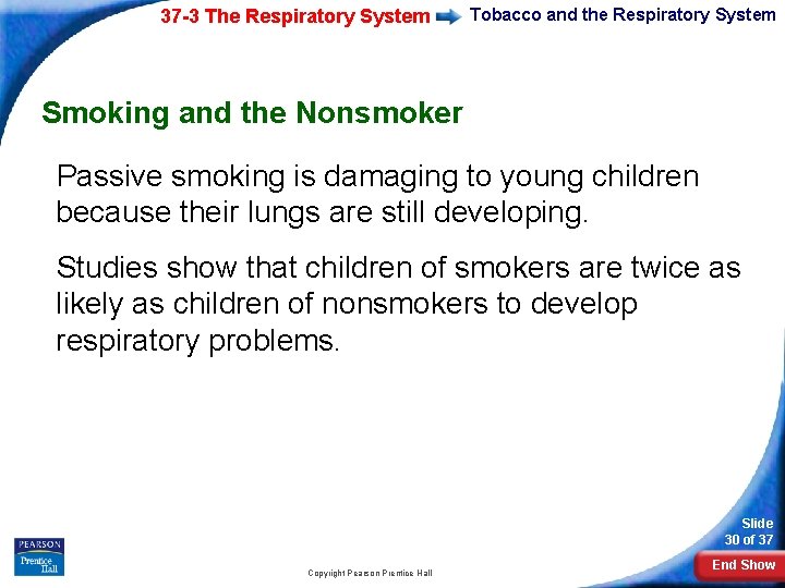 37 -3 The Respiratory System Tobacco and the Respiratory System Smoking and the Nonsmoker