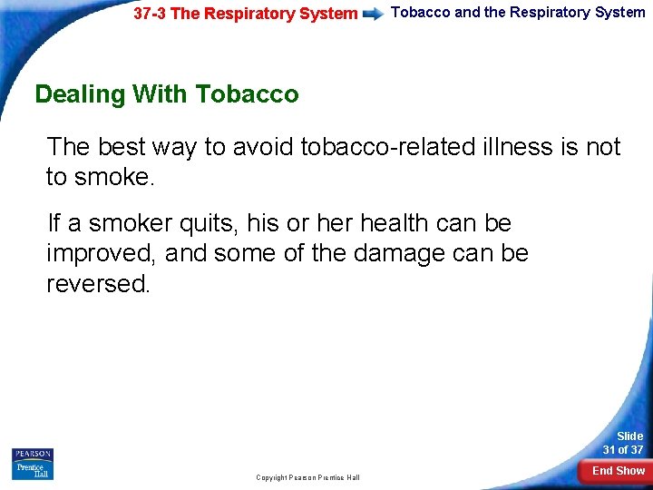 37 -3 The Respiratory System Tobacco and the Respiratory System Dealing With Tobacco The