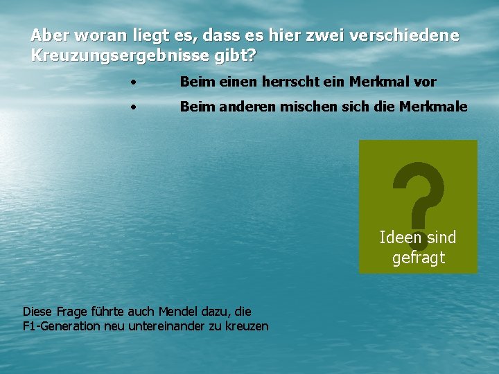 Aber woran liegt es, dass es hier zwei verschiedene Kreuzungsergebnisse gibt? • Beim einen