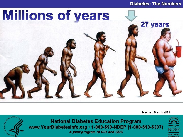 Diabetes: The Numbers Revised March 2011 National Diabetes Education Program www. Your. Diabetes. Info.