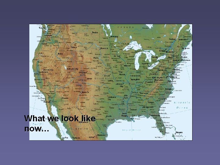 What we look like now… 