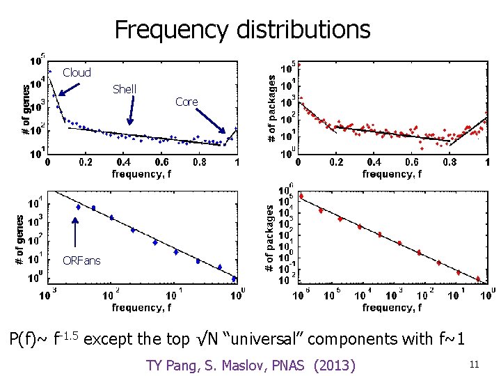 Frequency distributions Cloud Shell Core ORFans P(f)~ f-1. 5 except the top √N “universal”