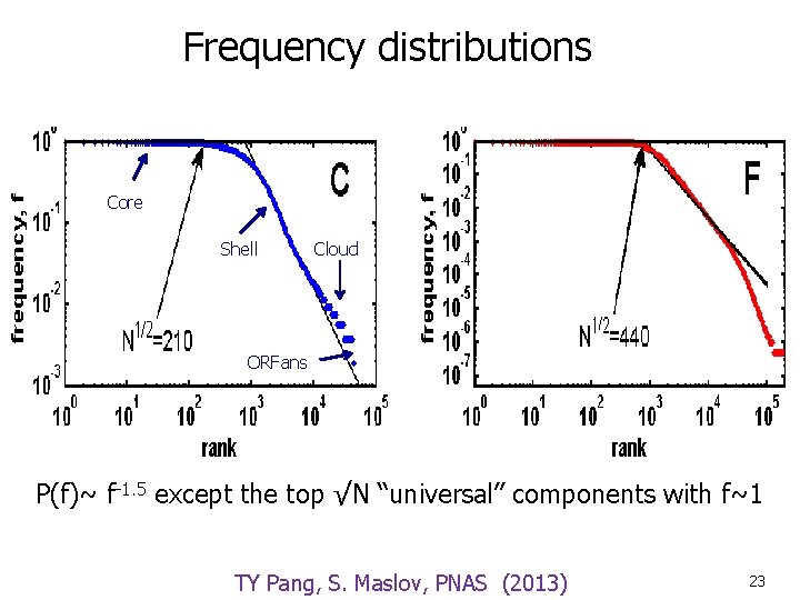 Frequency distributions Core Shell Cloud ORFans P(f)~ f-1. 5 except the top √N “universal”