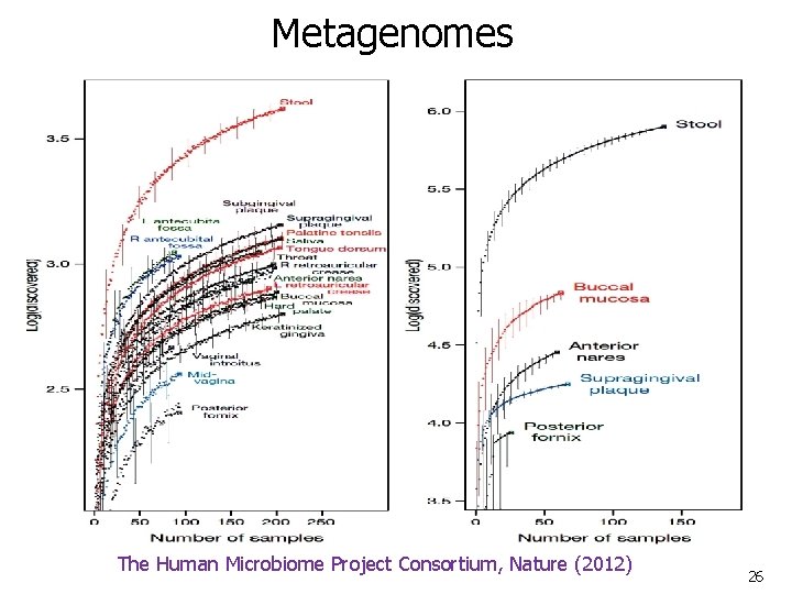 Metagenomes The Human Microbiome Project Consortium, Nature (2012) 26 