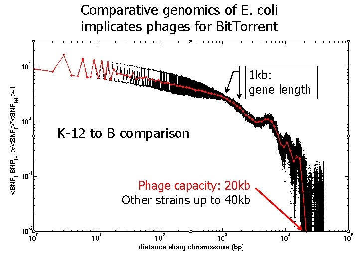 Comparative genomics of E. coli implicates phages for Bit. Torrent 1 kb: gene length