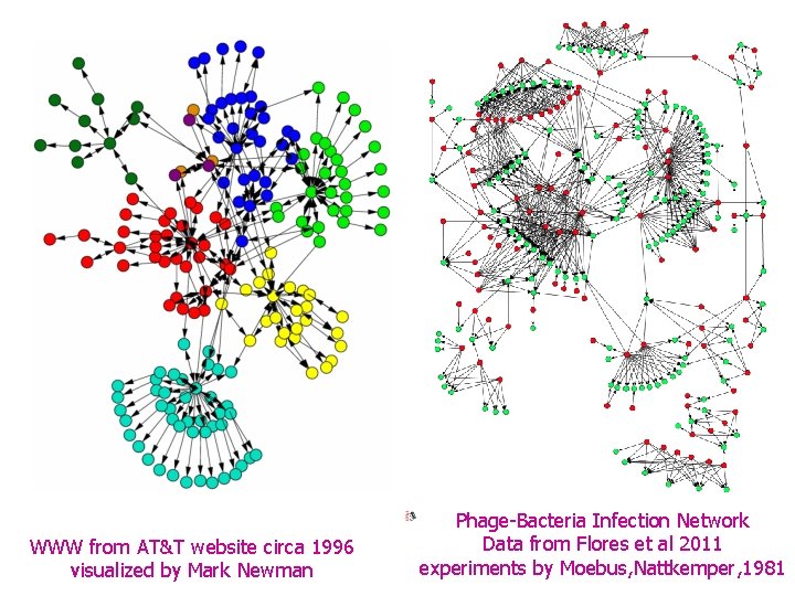 WWW from AT&T website circa 1996 visualized by Mark Newman Phage-Bacteria Infection Network Data