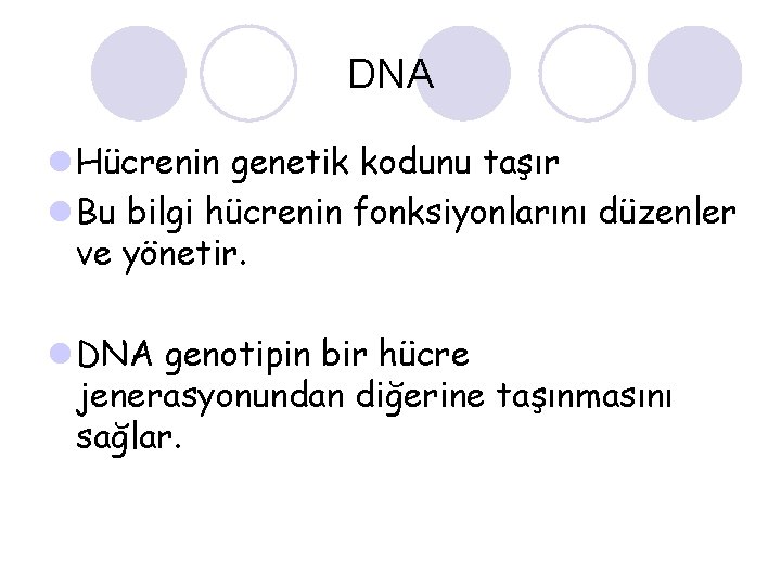 DNA l Hücrenin genetik kodunu taşır l Bu bilgi hücrenin fonksiyonlarını düzenler ve yönetir.
