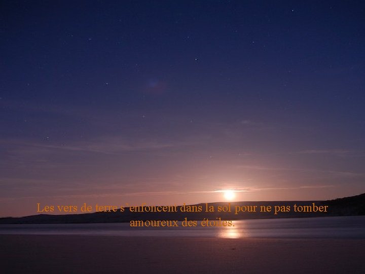 Les vers de terre s’enfoncent dans la sol pour ne pas tomber amoureux des