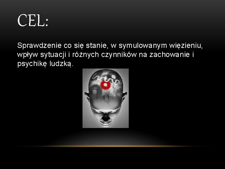 CEL: Sprawdzenie co się stanie, w symulowanym więzieniu, wpływ sytuacji i różnych czynników na