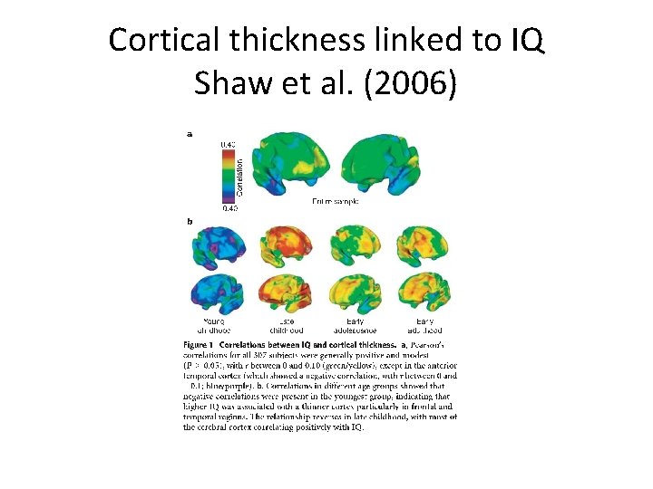 Cortical thickness linked to IQ Shaw et al. (2006) 