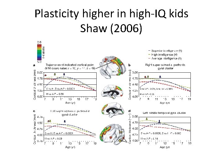 Plasticity higher in high-IQ kids Shaw (2006) 