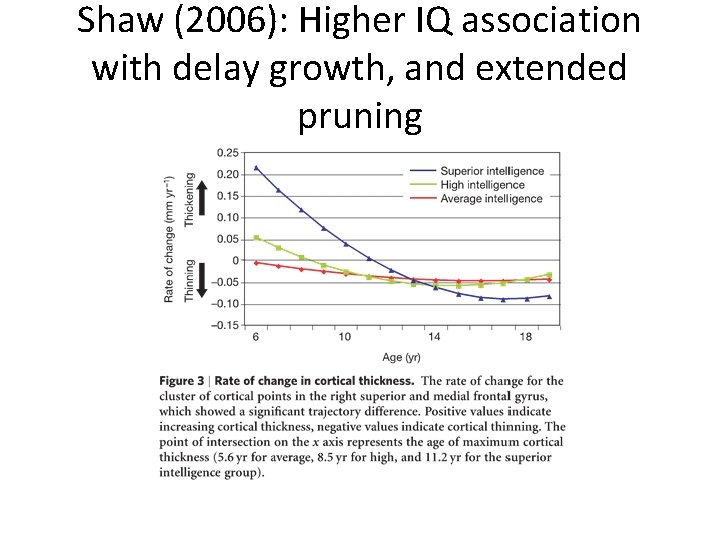 Shaw (2006): Higher IQ association with delay growth, and extended pruning 
