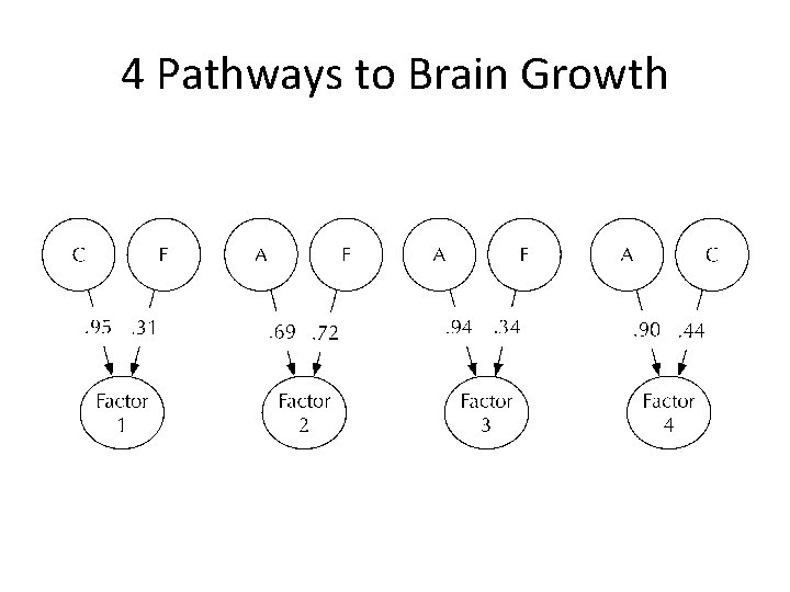 4 Pathways to Brain Growth 