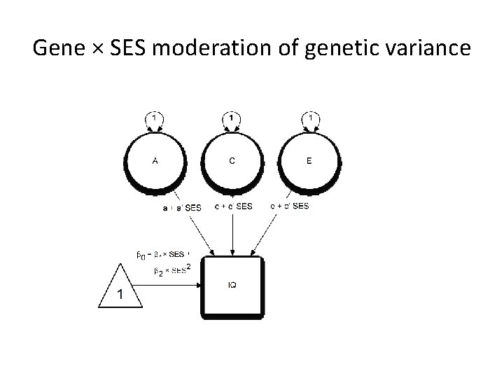 Gene × SES moderation of genetic variance 