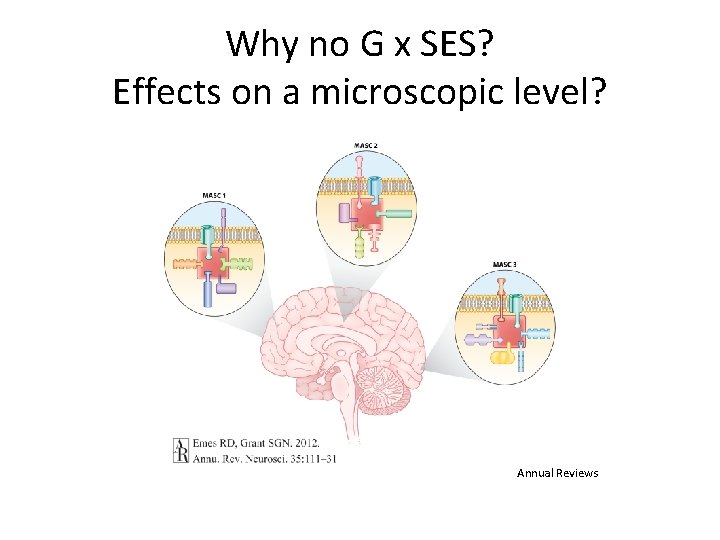 Why no G x SES? Effects on a microscopic level? Annual Reviews 