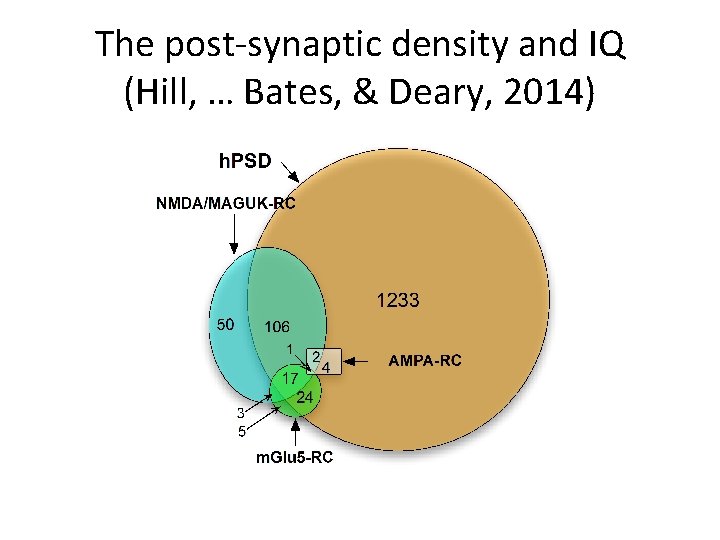 The post-synaptic density and IQ (Hill, … Bates, & Deary, 2014) 