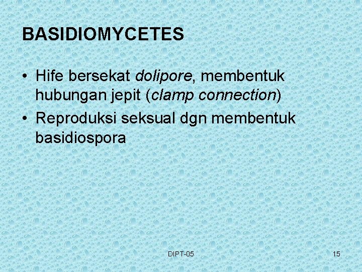 BASIDIOMYCETES • Hife bersekat dolipore, membentuk hubungan jepit (clamp connection) • Reproduksi seksual dgn