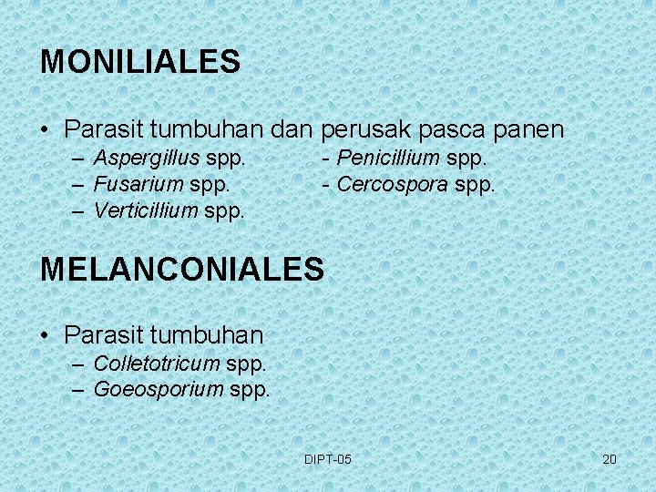 MONILIALES • Parasit tumbuhan dan perusak pasca panen – Aspergillus spp. – Fusarium spp.