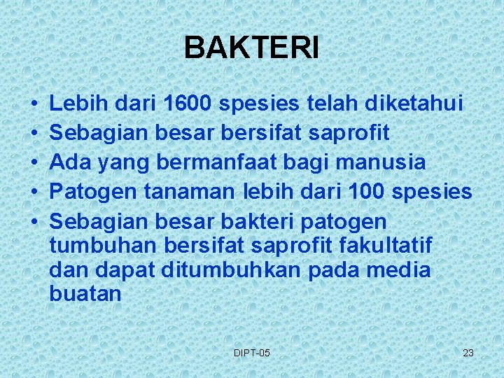 BAKTERI • • • Lebih dari 1600 spesies telah diketahui Sebagian besar bersifat saprofit