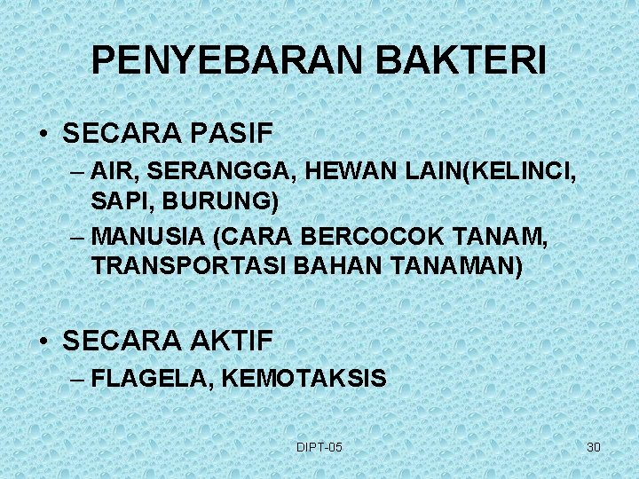 PENYEBARAN BAKTERI • SECARA PASIF – AIR, SERANGGA, HEWAN LAIN(KELINCI, SAPI, BURUNG) – MANUSIA