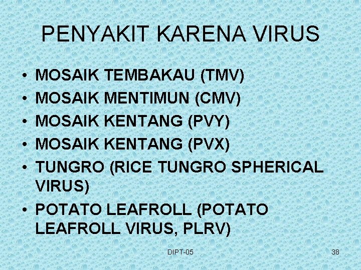 PENYAKIT KARENA VIRUS • • • MOSAIK TEMBAKAU (TMV) MOSAIK MENTIMUN (CMV) MOSAIK KENTANG