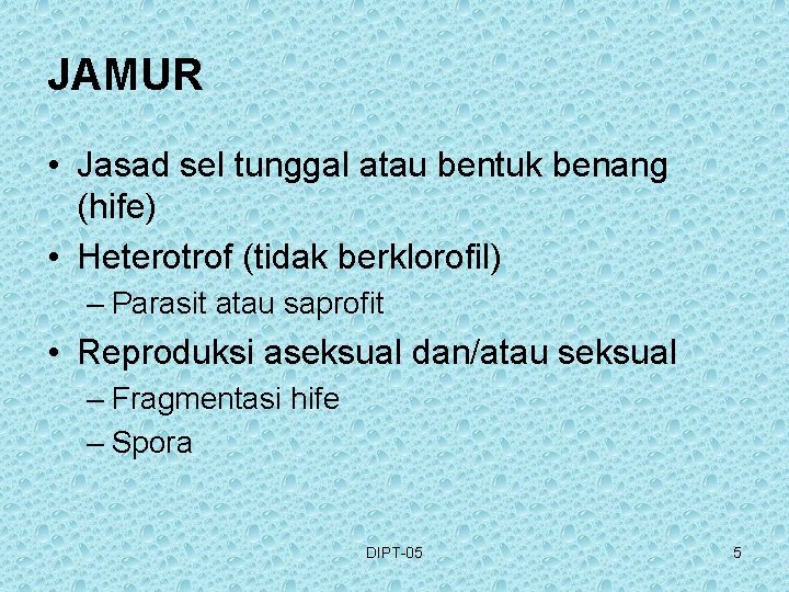 JAMUR • Jasad sel tunggal atau bentuk benang (hife) • Heterotrof (tidak berklorofil) –