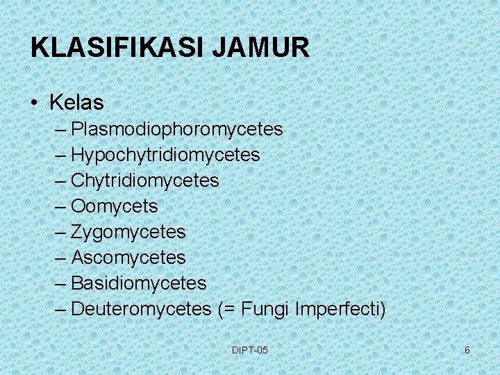 KLASIFIKASI JAMUR • Kelas – Plasmodiophoromycetes – Hypochytridiomycetes – Chytridiomycetes – Oomycets – Zygomycetes