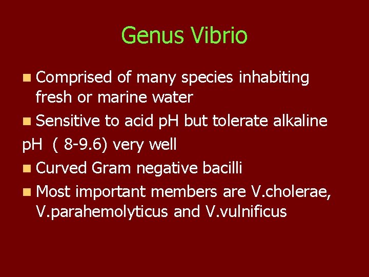 Genus Vibrio n Comprised of many species inhabiting fresh or marine water n Sensitive