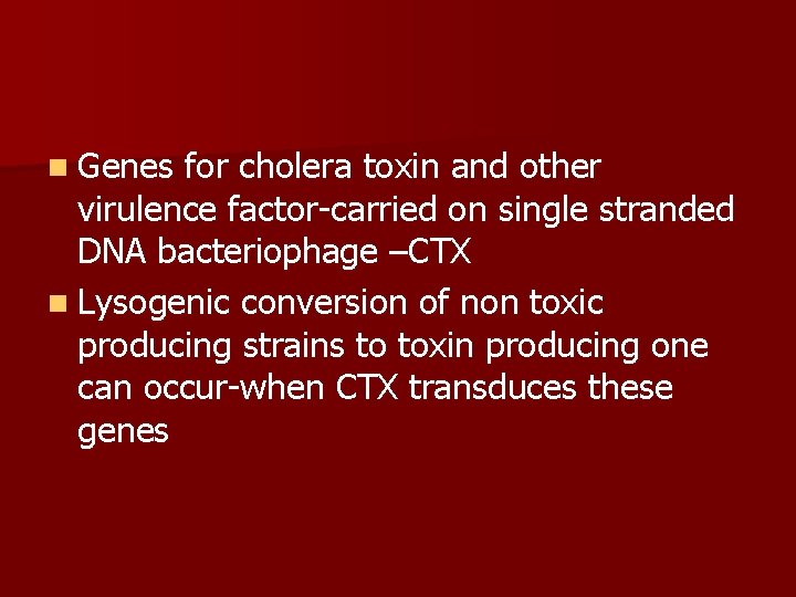 n Genes for cholera toxin and other virulence factor-carried on single stranded DNA bacteriophage