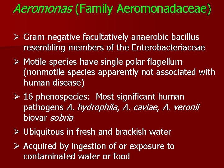 Aeromonas (Family Aeromonadaceae) Ø Gram-negative facultatively anaerobic bacillus resembling members of the Enterobacteriaceae Ø