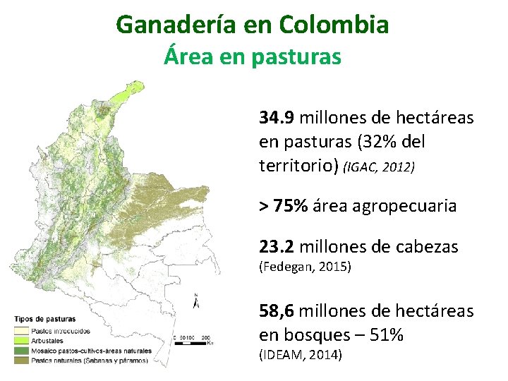 Ganadería en Colombia Área en pasturas 34. 9 millones de hectáreas en pasturas (32%
