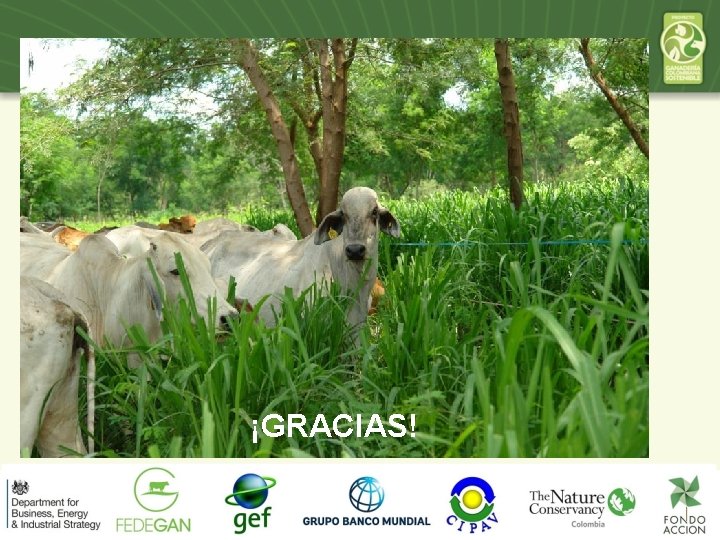 ¡GRACIAS! 