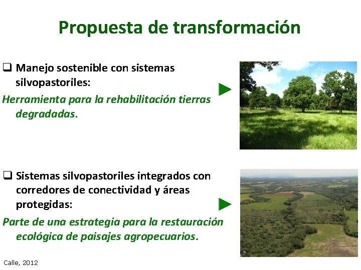 Propuesta de transformación q Manejo sostenible con sistemas silvopastoriles: Herramienta para la rehabilitación tierras