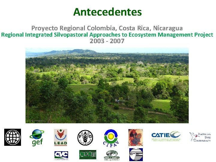 Antecedentes Proyecto Regional Colombia, Costa Rica, Nicaragua Regional Integrated Silvopastoral Approaches to Ecosystem Management