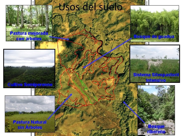 Usos del suelo Pastura mejorada con árboles Cultivo Semiperenne Pastura Natural sin Árboles Bosque