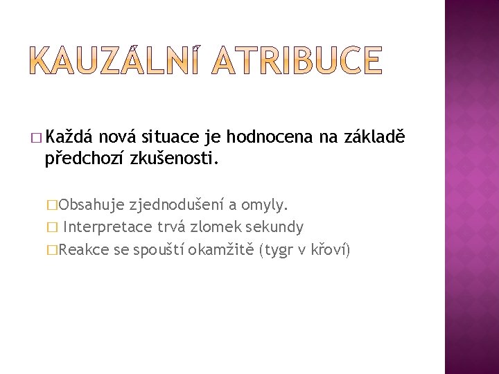 � Každá nová situace je hodnocena na základě předchozí zkušenosti. �Obsahuje zjednodušení a omyly.