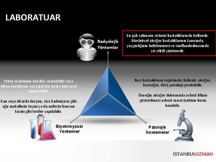 LABORATUAR Radyolojik Yöntemler Etken maddenin kendisi, metaboliti veya etken maddenin yol açtığı bir başka