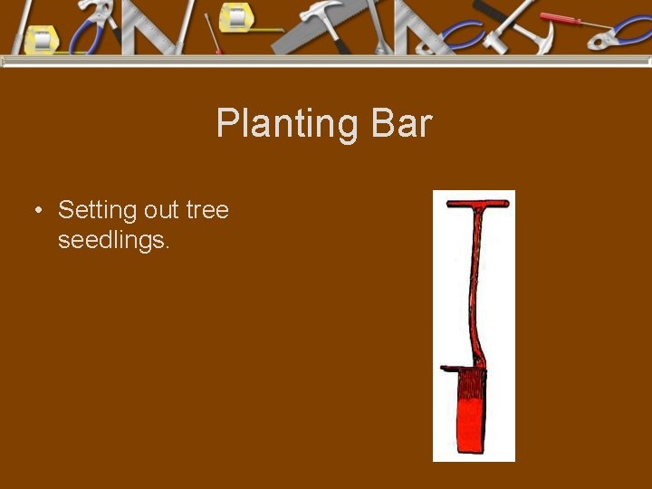  Planting Bar • Setting out tree seedlings. 