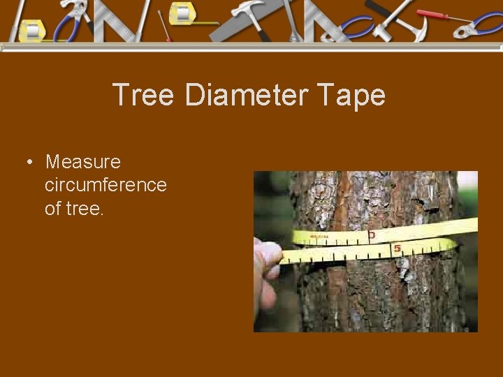 Tree Diameter Tape • Measure circumference of tree. 
